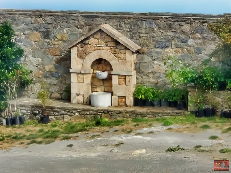 giatrissa (1)
