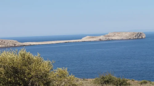 Κάστρο Τηγάνι