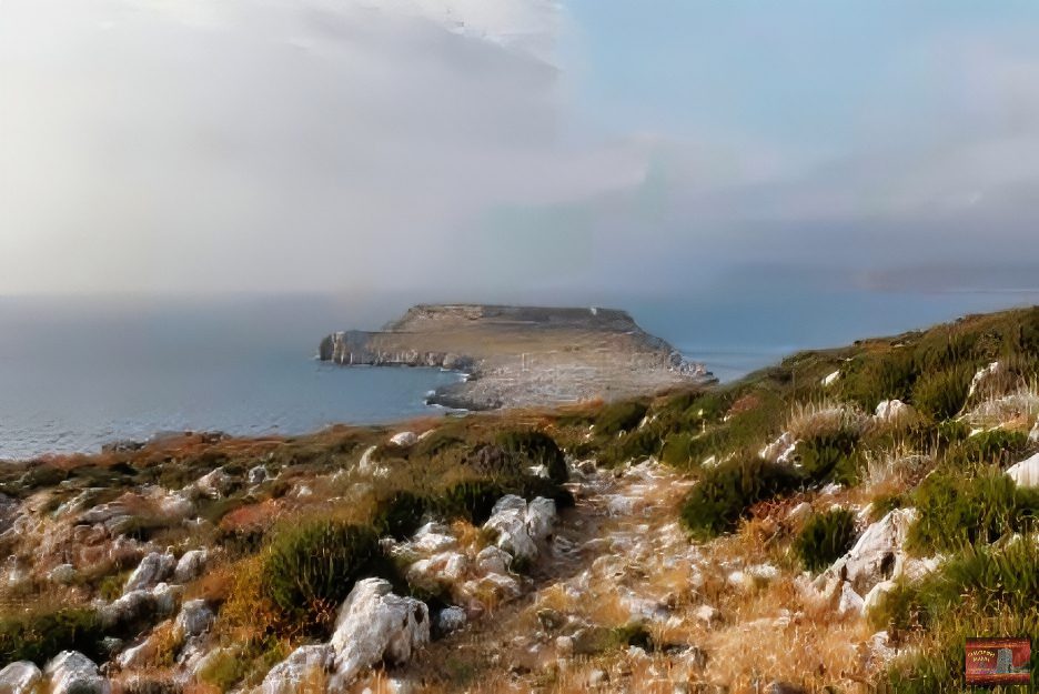 Τηγάνι Μάνη