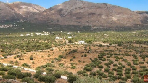 aposkieri mani