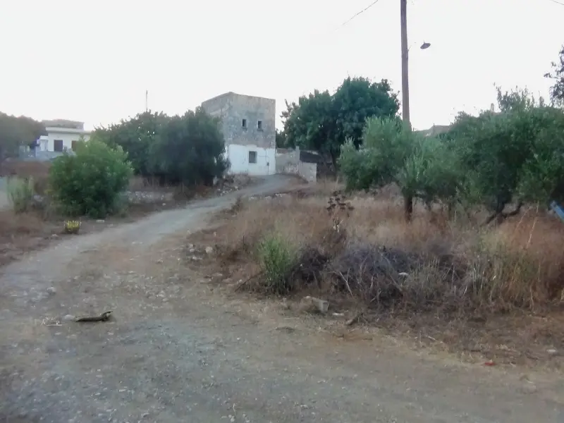 DSC00674