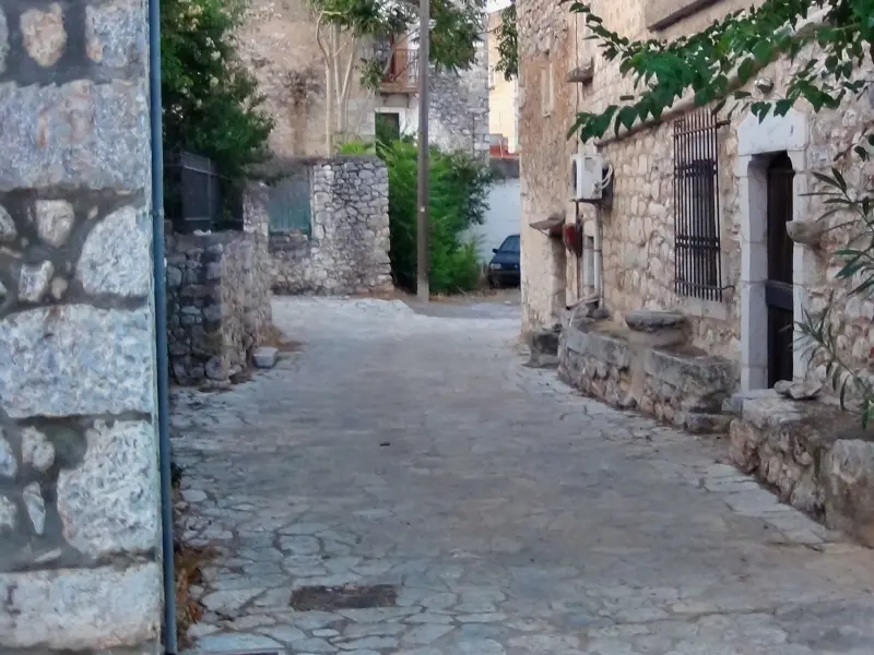 DSC00687