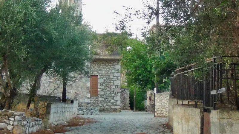 DSC00693