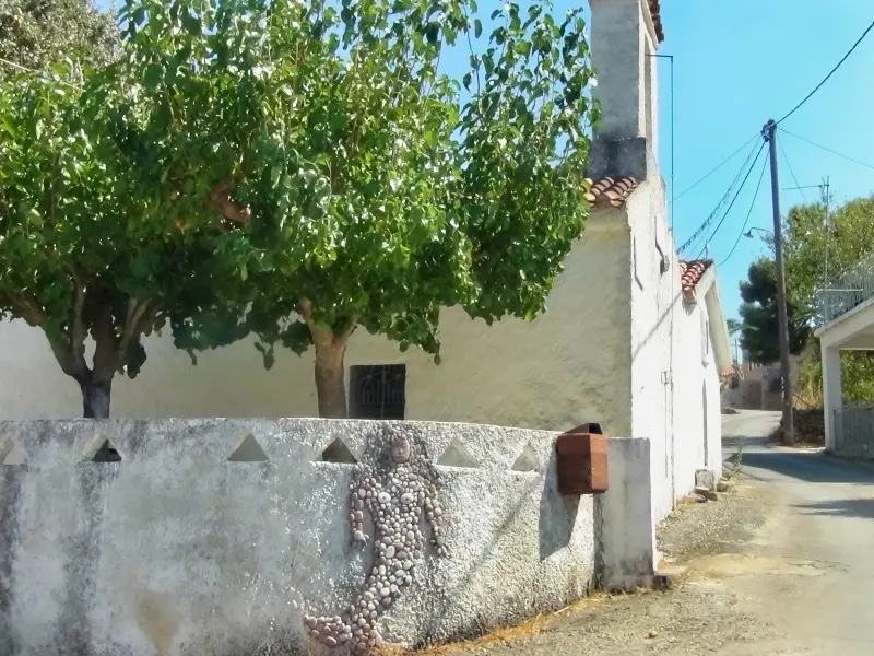 DSC01142