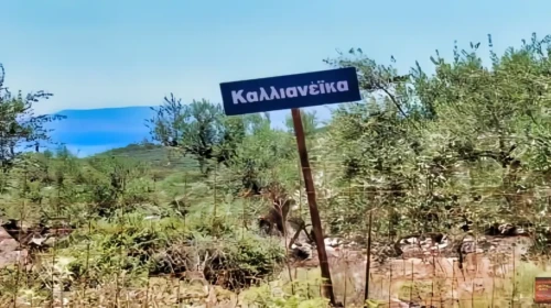 kalianeika