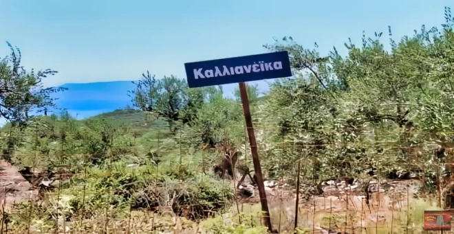 kalianeika
