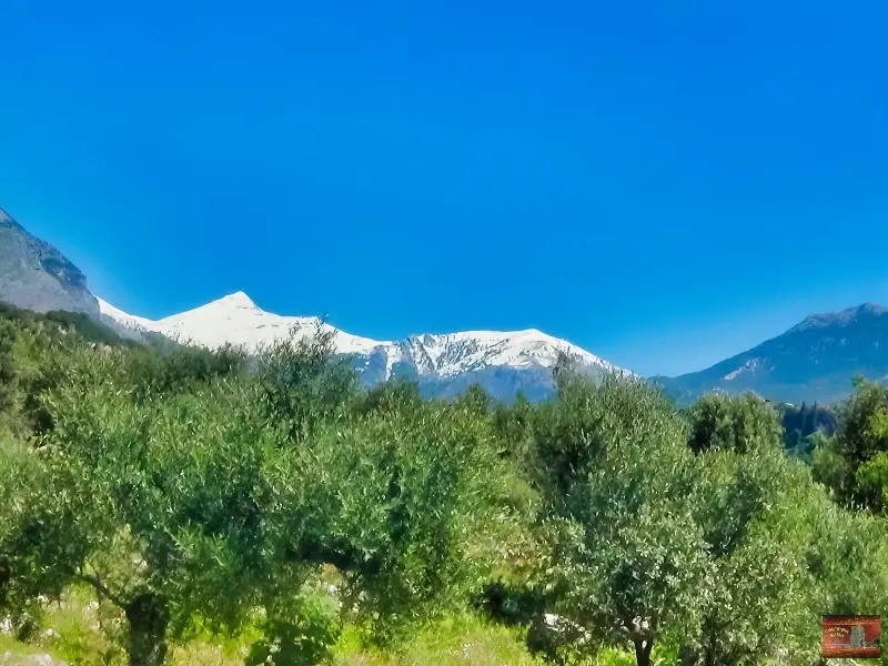 kardamili (1)