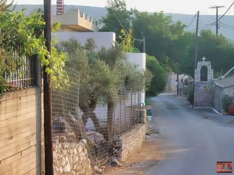 Κούνος