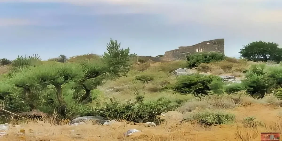 Μάνη:Ο χορός των σκιών