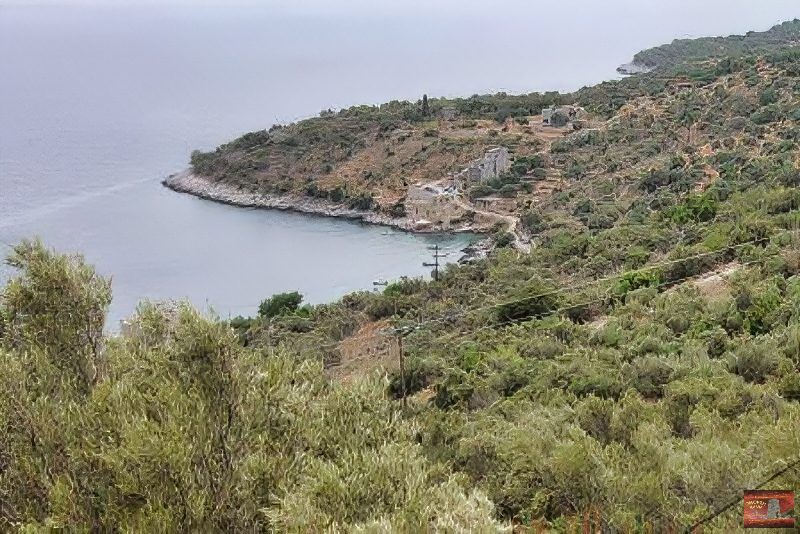 mani prosiliaka