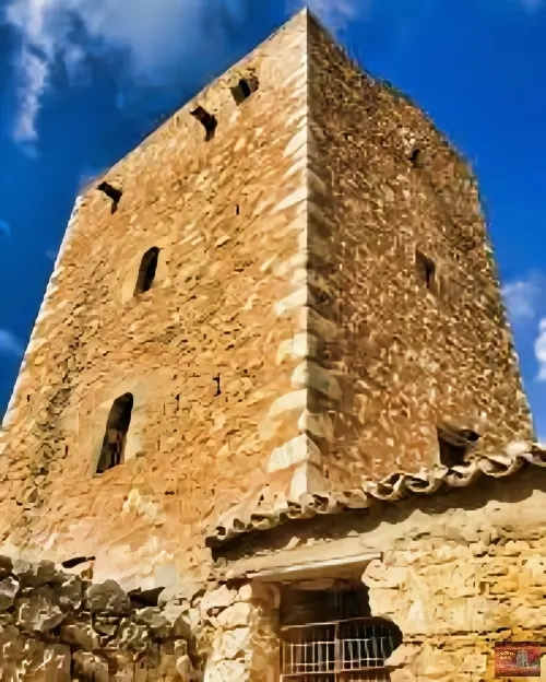 patriarxea
