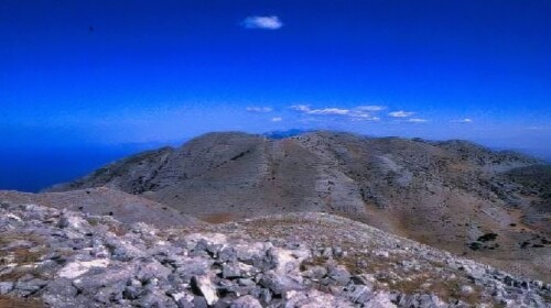 sagias