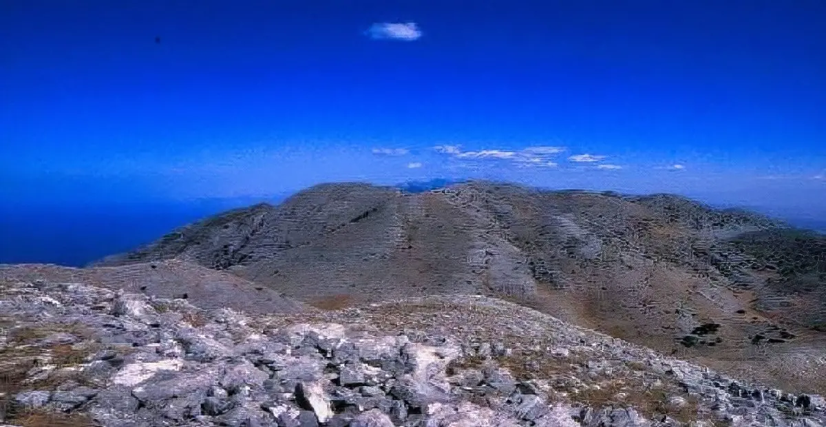 sagias