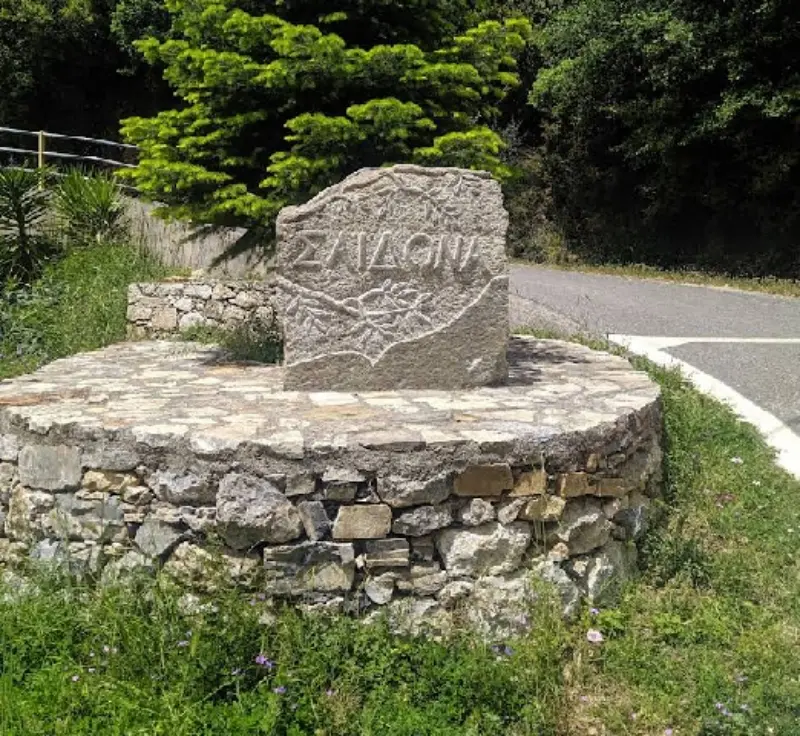 saidona1