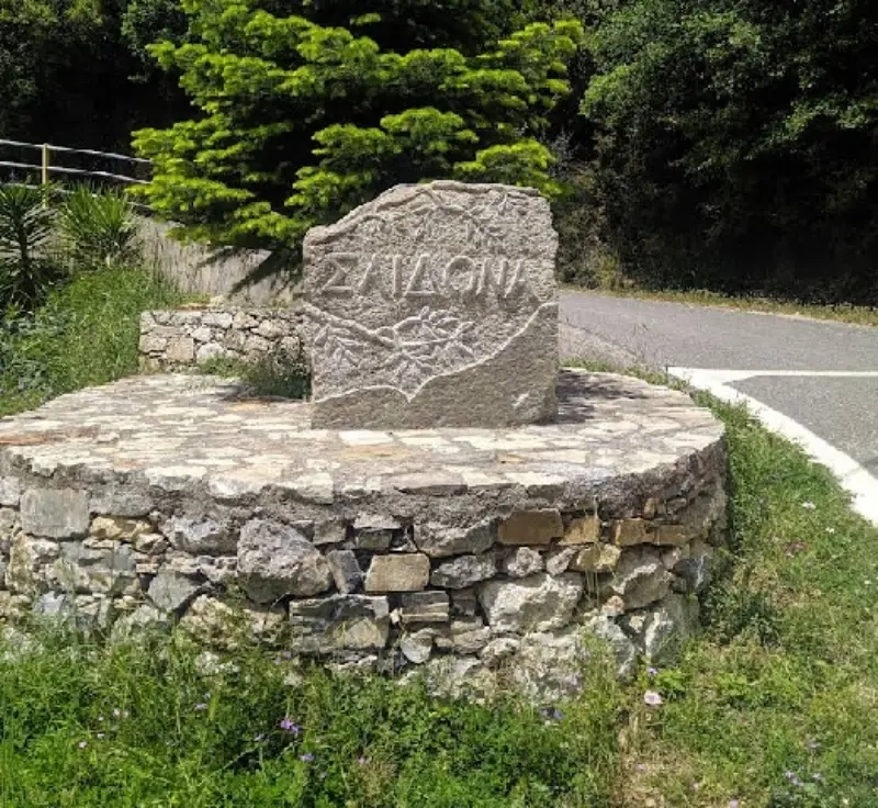 saidona1