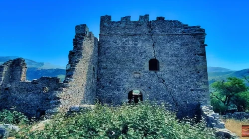 zarnata kastro