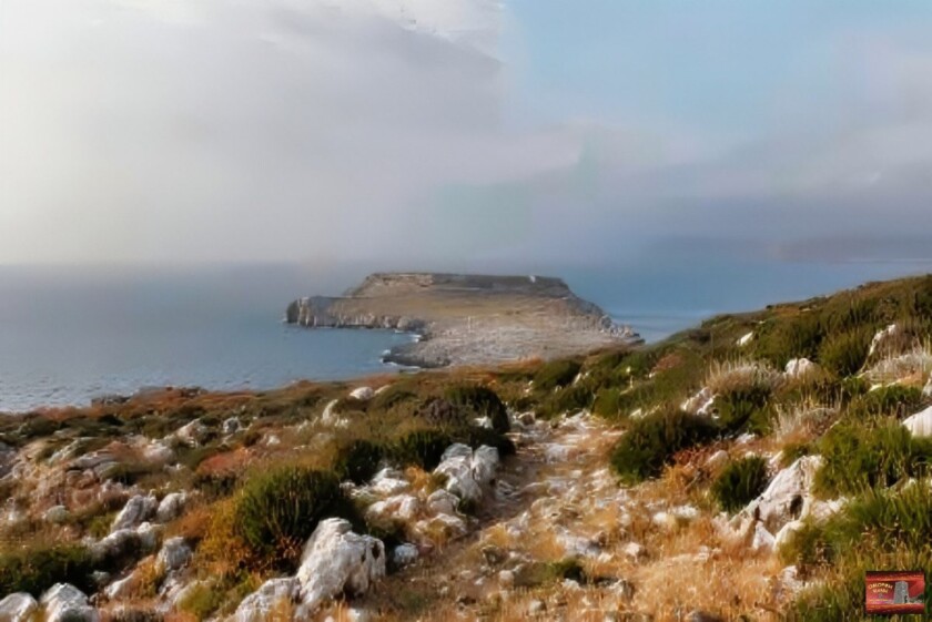 Τηγάνι Μάνης