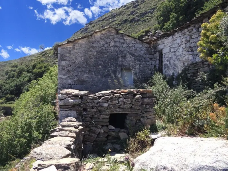 aigila