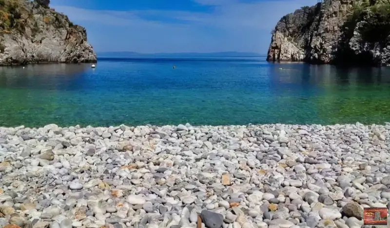 alypa