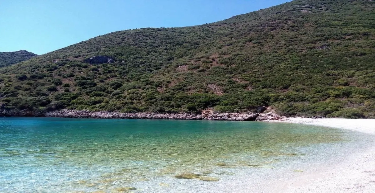 antrogialos (1)