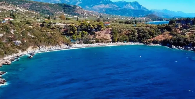 delfinia