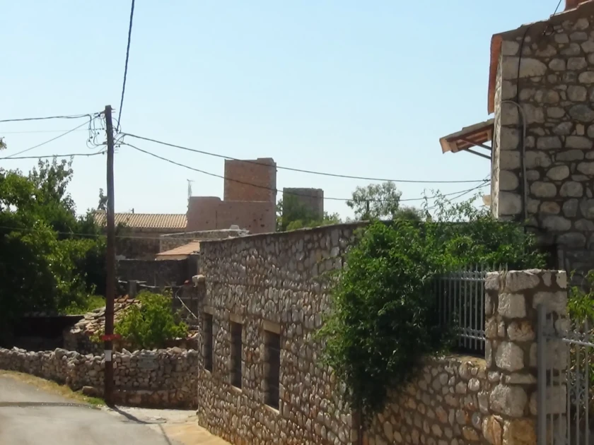 DSC00729
