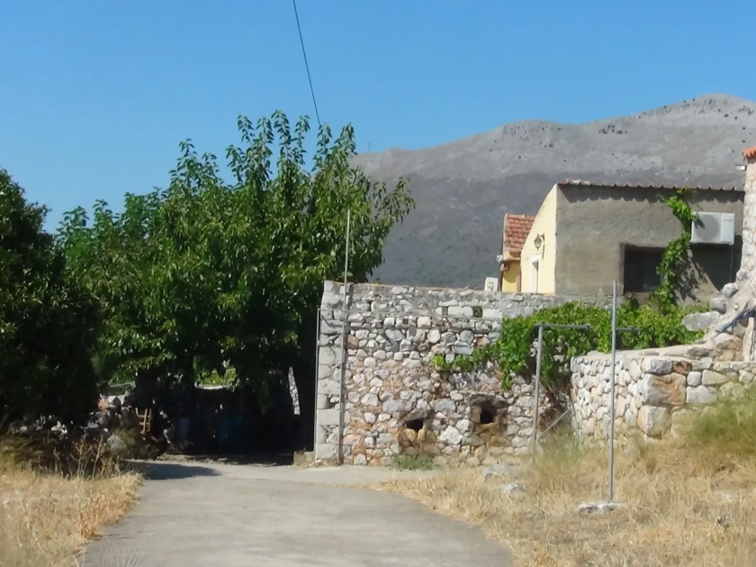 DSC00730