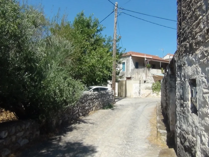 DSC00733