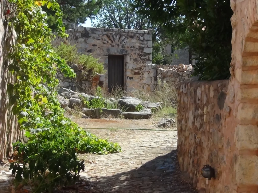 DSC00741