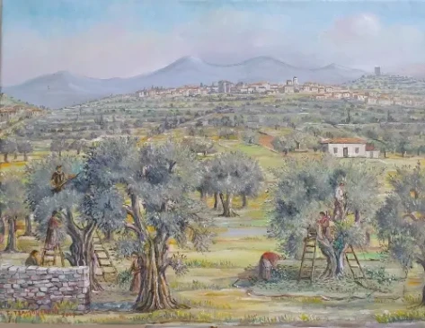 Ελαιομάζωμα 2013 Σωτήρης Τζαμουράνης