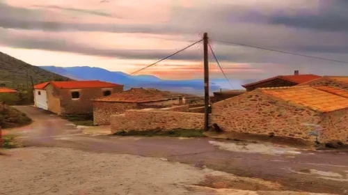 elaioxori oitilo