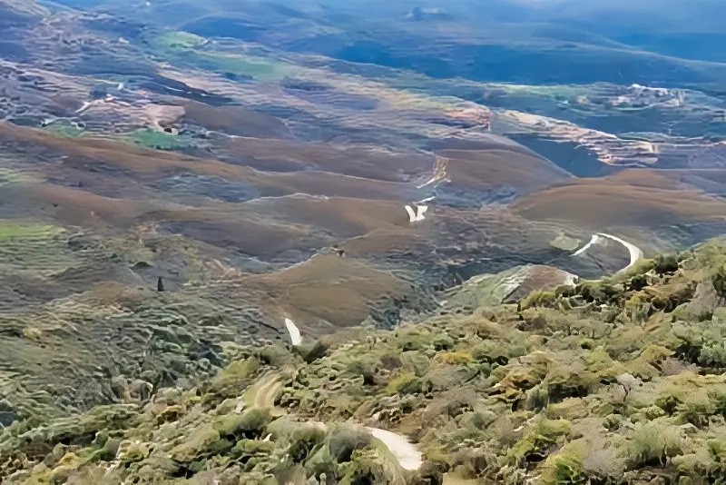 foto apo karea