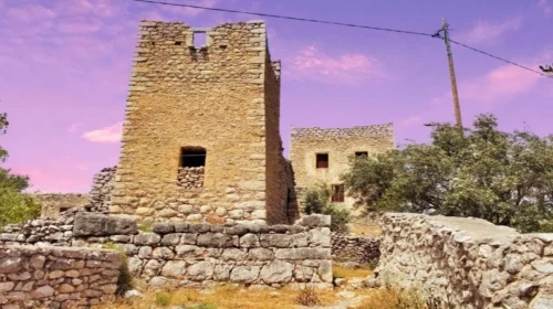gardenitsa