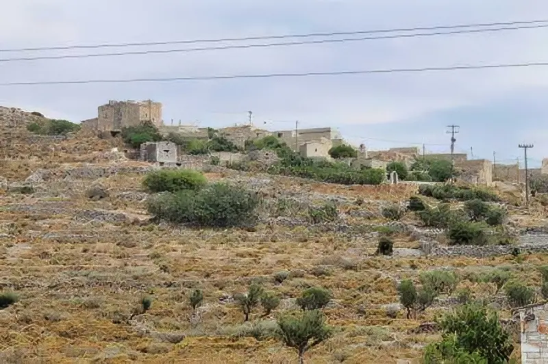korogonianika
