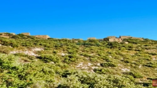 kotrafi