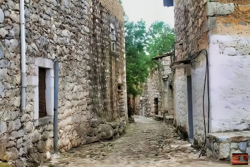 kounos