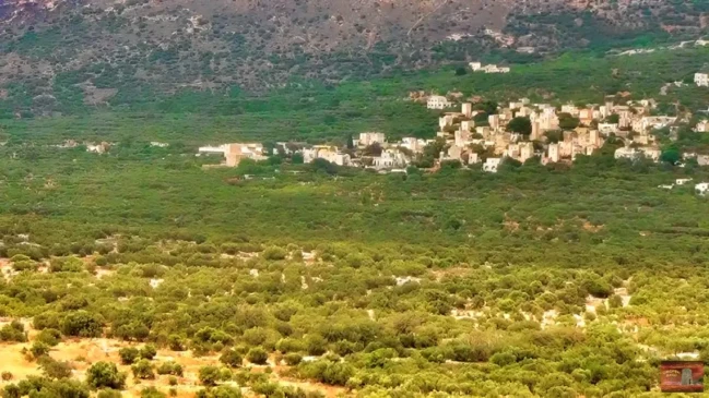 mesa-mani-1140x641
