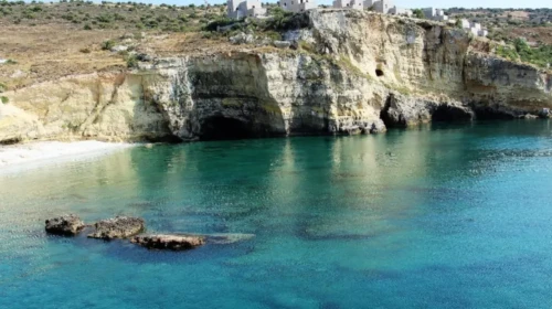 mezapo xalikia