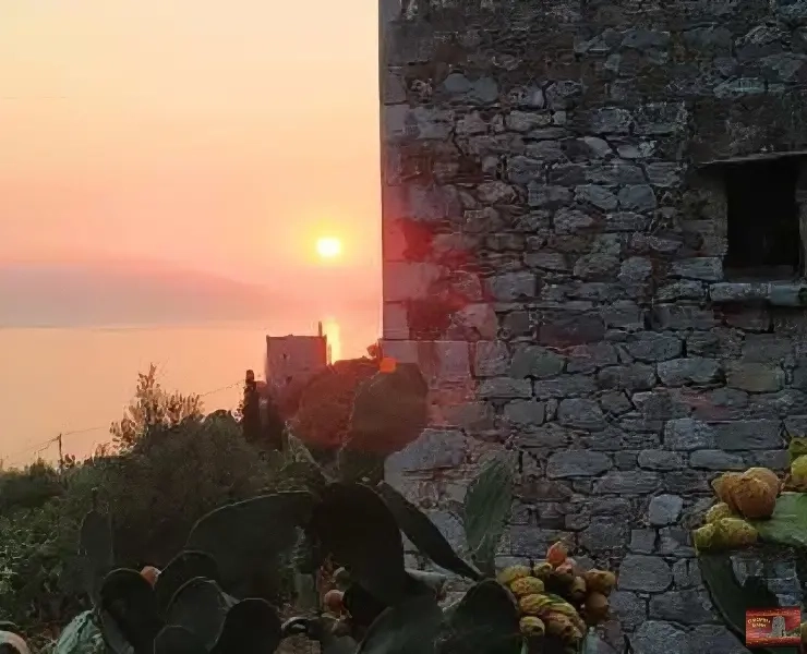 nifi anatoli