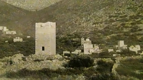 noxia