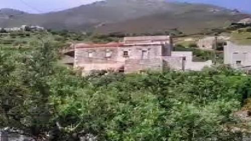 paxianika (1)