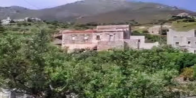 paxianika (1)