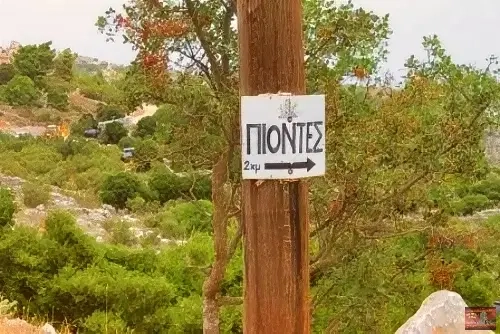 piontes