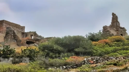 sassaris