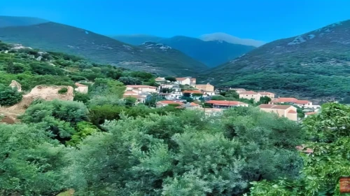 selegoudi