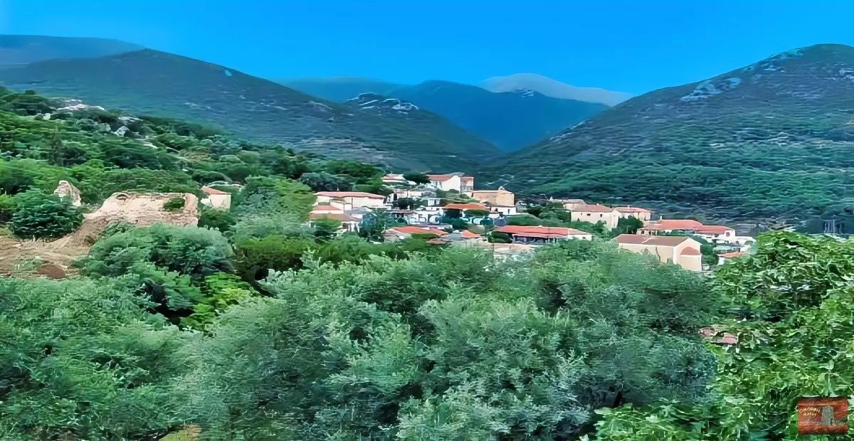 selegoudi