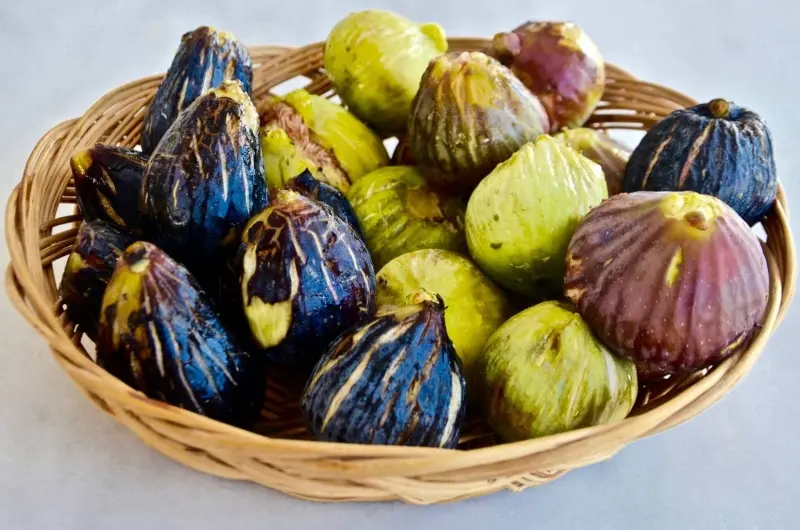 sika