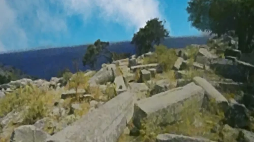 arxaia aigila (1)