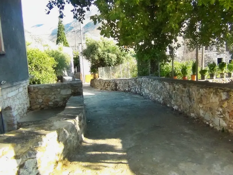 DSC00871