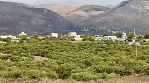 Κέρια Μάνη